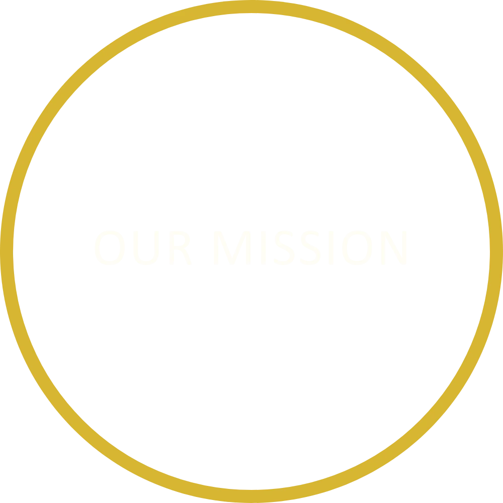 MVV Launch – Our Mission MVV Launch - Our Mission